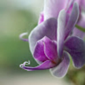 Meet your Posher, Wendy